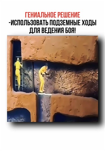 . ЗАХОДИТЕ В @kabinet_nauki ⚙️🧲🧬🔬 ССЫЛКА НА НАШ ТЕЛЕГРАМ В ШАПКЕ ПРОФИЛЯ У НАС ВСЕГДА ИНТЕРЕСНО И ОТКРЫТО. . . . #наука #Science #технологии #факты #вьетнам