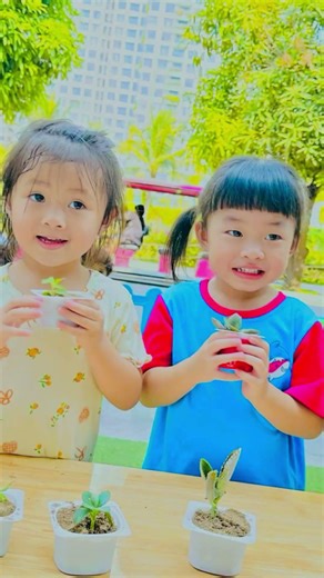 🌳🌞 “REAL-LIFE EXPERIENCE: PLANTING GREEN TREES – CREATING A MINI FOREST” WITH BABY SHARK TANK 🐧💚