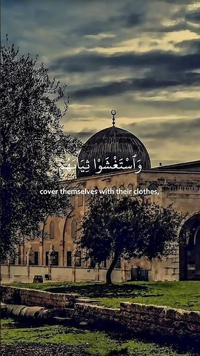 سورة نوح | بصوت القارئ محمد صديق المنشاوي