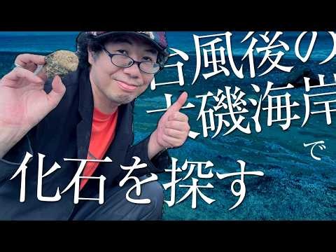 Fossil Enthusiast Fossil-Fumi! Hunting for Shell Fossils at Oiso Beach, Kanagawa!