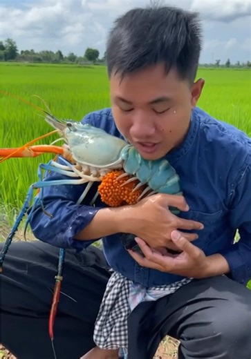 กุ้งไข่เต็มท้อง #ai