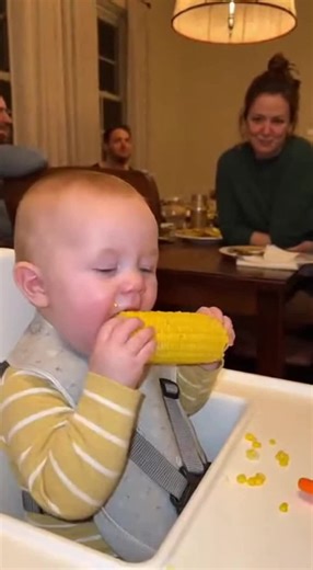 Tiny Lawyer Resolves Family Dinner Drama with Humor