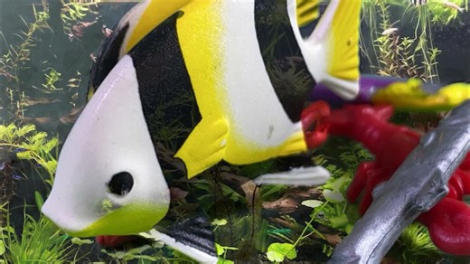 Findet Nemo 2.0 Darla – Playmobil