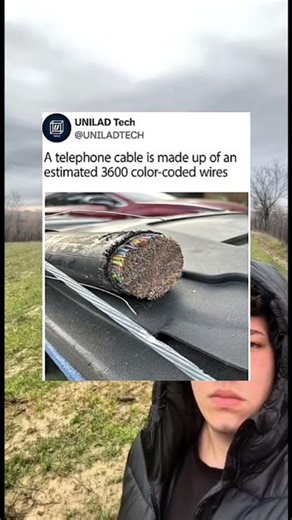 A Telephone Cable is Made Up of 3,600 Color Coded Wires.