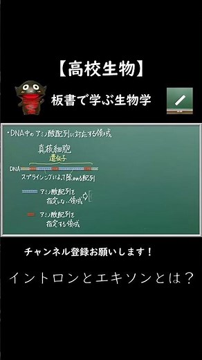 真核細胞と細菌の転写の相違点【108生物】イントロンとエキソンとは？