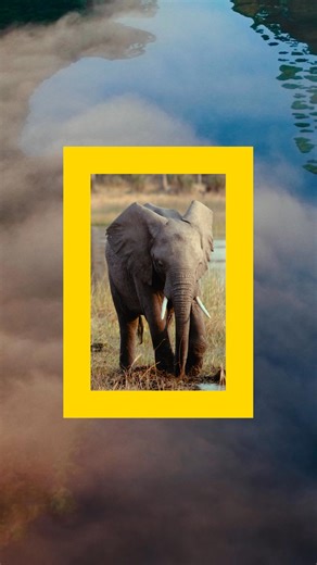 Set your course for a monumentally new experience. Summer 2026 – The National Geographic Museum of Exploration. | National Geographic Museum