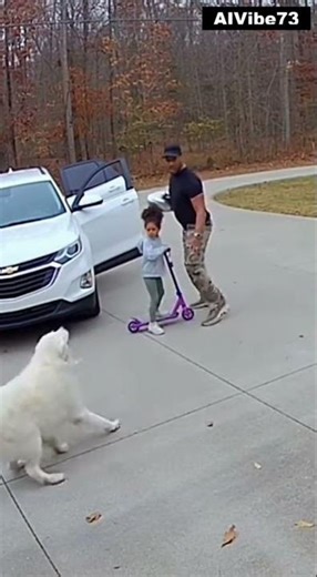 Caught On Camera: Father Protects Toddler From Aggressive Dog!