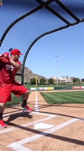 😱 how baseball bat and cricket bat very different ⚾