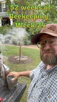 Week 24 of 52 weeks of beekeeping 🐝