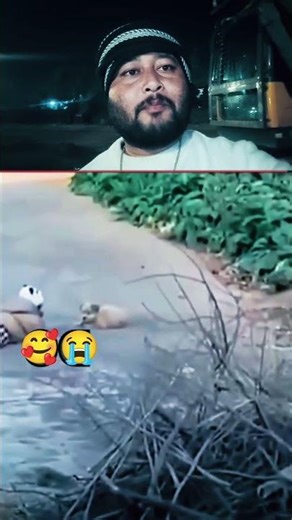 #timelapse start to finish alone build log cabin (wooden house) how to build wooden cabin surviva