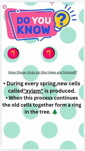 how to determine a tree's age?