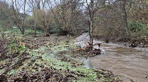 The Dodder River Valley between Old Bawn Bridge and the City Weir at Balrothery/Firhouse was identified by government in the 1990s as one of the country’s network of proposed Natural Heritage Areas. https://www.echo.ie/nature-on-our-doorsteps-helping-to-slow-down-the-river-dodder/ | The Echo Newspaper