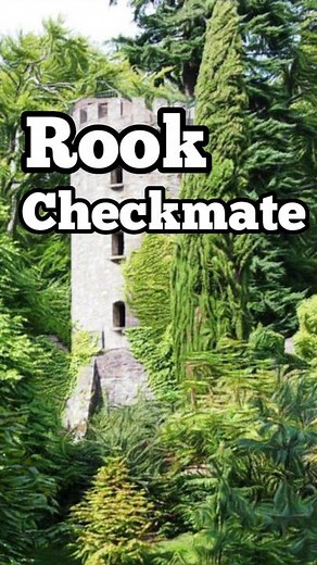 The easiest way to checkmate your opponent with a rook 🔥 #chess #chesstok #viral #foryou #chesster