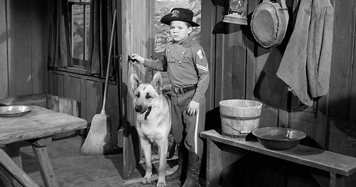 ‘Rin Tin Tin’ child actor Lee Aaker dead at 77