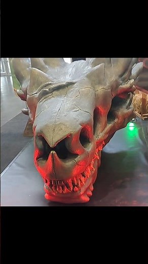 Comic Con Budapest 26.3.22. Sárkányok Háza Sárkány koponya #dragon #shorts #skull #vlog #comiccon