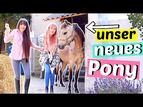 Wir haben ein Pony gekauft 😍| ViktoriaSarina