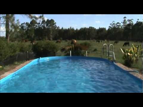 Reflejos @Bill Viola - The Reflecting Pool