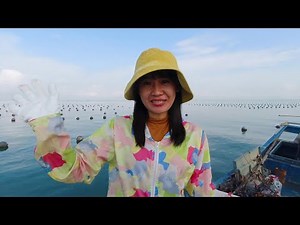 After sealing the sea, Ayumei found Xincailu and grabbed hundreds of pounds of seafood in two hours.