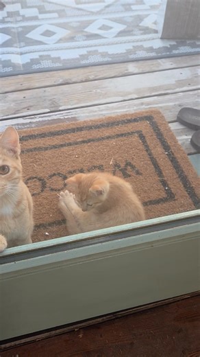 A welcomed new face to the homestead! | Bruce Colburn