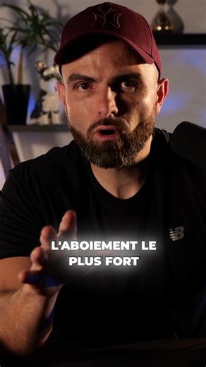 Chien : L'aboiement le plus fort jamais enregistré !