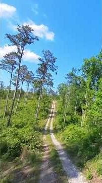 Off the Grid in Mark Twain National Forest This Forest in Missouri Is Unreal #jeeplife #adventure