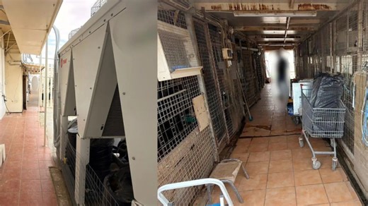 «Μαντρί» σε ταράτσα κτηρίου - Δικογραφία για παράνομη εκτροφή ζώων