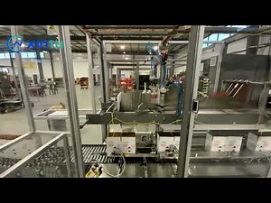 How a Drop Type Case Packer Revolutionizes Packaging for Chemical Bottles?