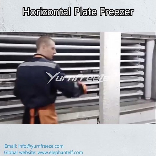 Horizontal Plate Freezer