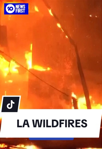 At least two people have died and tens of thousands evacuated, as the most destructive wildfire in Los Angeles’ history continued to burn. There are four separate fires burning across LA County, none of which are contained. Firefighters are facing difficult conditions, with strong winds and a lack of water from local hydrants. The White House has approved a major disaster declaration for the state of California, meaning they can now access federal resources, and the Pentagon has announced they w