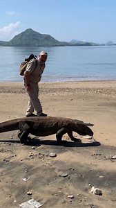 Jayprehistoricpets on Reels