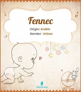 Fennec Name Meaning, Origin, History, And Popularity