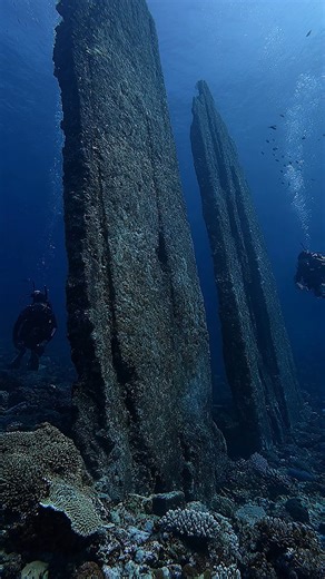 The Sunken Fortress Surrounded By Coral Walls #ocean #ancient #mystery #discovery | Life's Biggest Questions
