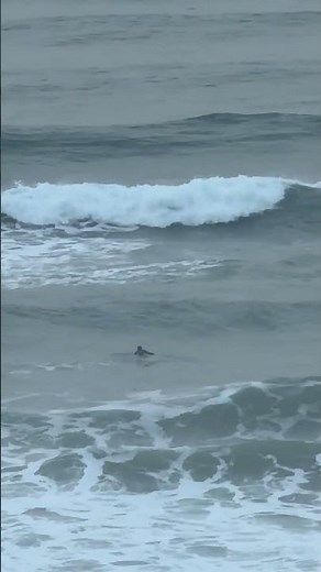 Surfer vs the Ocean After Sunset #surf #angry #ocean
