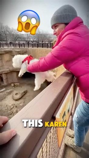 This Man Saved A Dog From A Lion's Den