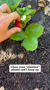 3.4K views · 132 reactions | Your #4 most liked reel of 2024!  this works like a charm ❤️ | The Cary Fam | Facebook