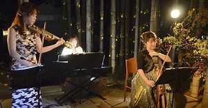 もう”厄介者”とは言わせない！ ｢竹の意外な活用法｣ | 気になる! サーチ | 福岡ふかぼりメディア ささっとー