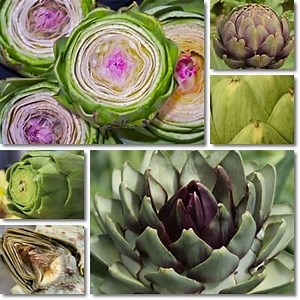 Artichoke Leaf Extract: Benefits and Side Effects - NatureWord