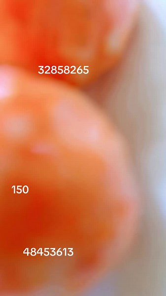 Delicious Orange Snacks: A Close-Up Showcase