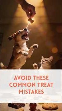 Avoid These Common Pet Treat Mistakes.
