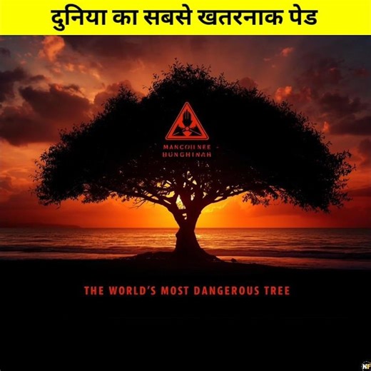 दुनिया का सबसे जेहरिला पेड | The Tree of Death #shorts