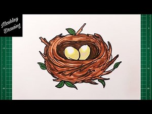 How to Draw a Bird Nest