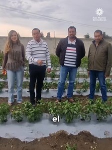 🚨🌱 Huerto de Traspatio: Una nueva vida detrás del rastro municipal 🌱 El compromiso del presidente, Juan Manuel Alonso, es con la ecología y el medio ambiente.🌳 Lo que antes era un espacio abandonado y descuidado, hoy florece como un huerto de traspatio gracias a la iniciativa y compromiso del equipo del Rastro Municipal de San Martín #Texmelucan. Este huerto será en un ejemplo de aprovechamiento responsable: se riega con agua tratada proveniente del propio rastro, promoviendo la sostenibilid