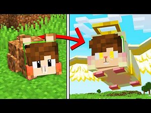 Cadres became an ELEMENTAL HAMSTER in Minecraft!