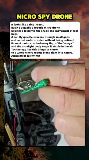 Insect-sized spy drones already exist