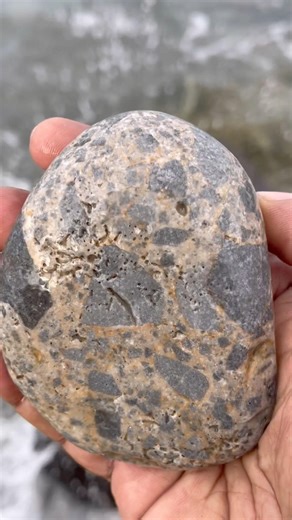 Frozen in Time: This Rock is a Tectonic Masterpiece. #Mineralogy #RockHounding #StoneCollection