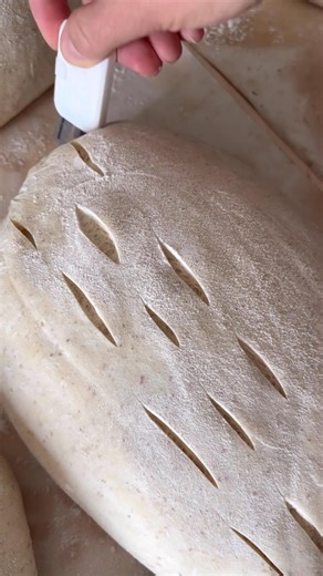 Scoring sourdough bread is important because it controls how the dough expands in the oven. Without scoring, the bread may burst unpredictably. A good score helps shape the loaf, gives it a beautiful look, and allows for even baking with a better crust. | My Sourdough Bread