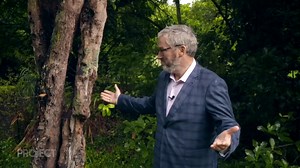 33K views · 174 reactions | We’re so proud to team up with Westpac...