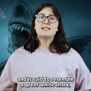 Recent Megalodon Sightings Caught On Tape | Most Amazing Top 10