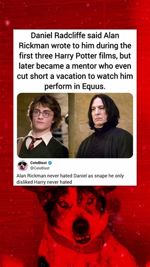 Daniel Radcliffe said Alan Rickman wrote to him during the first three Harry Potter films, but later