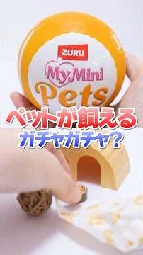 Can I keep a pet? Gachapon unboxing #Shorts #gachapon #blindbox #animals